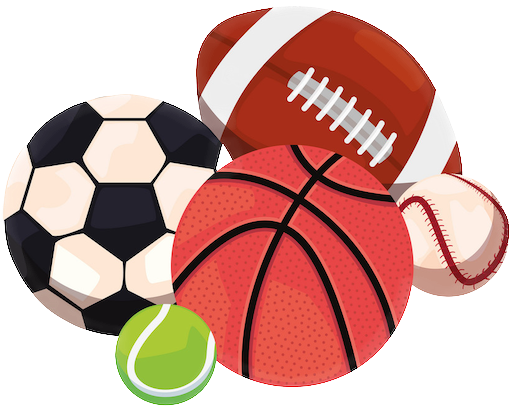 Sports Management and Training