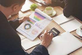 Preparing economic feasibility studies and evaluating projects