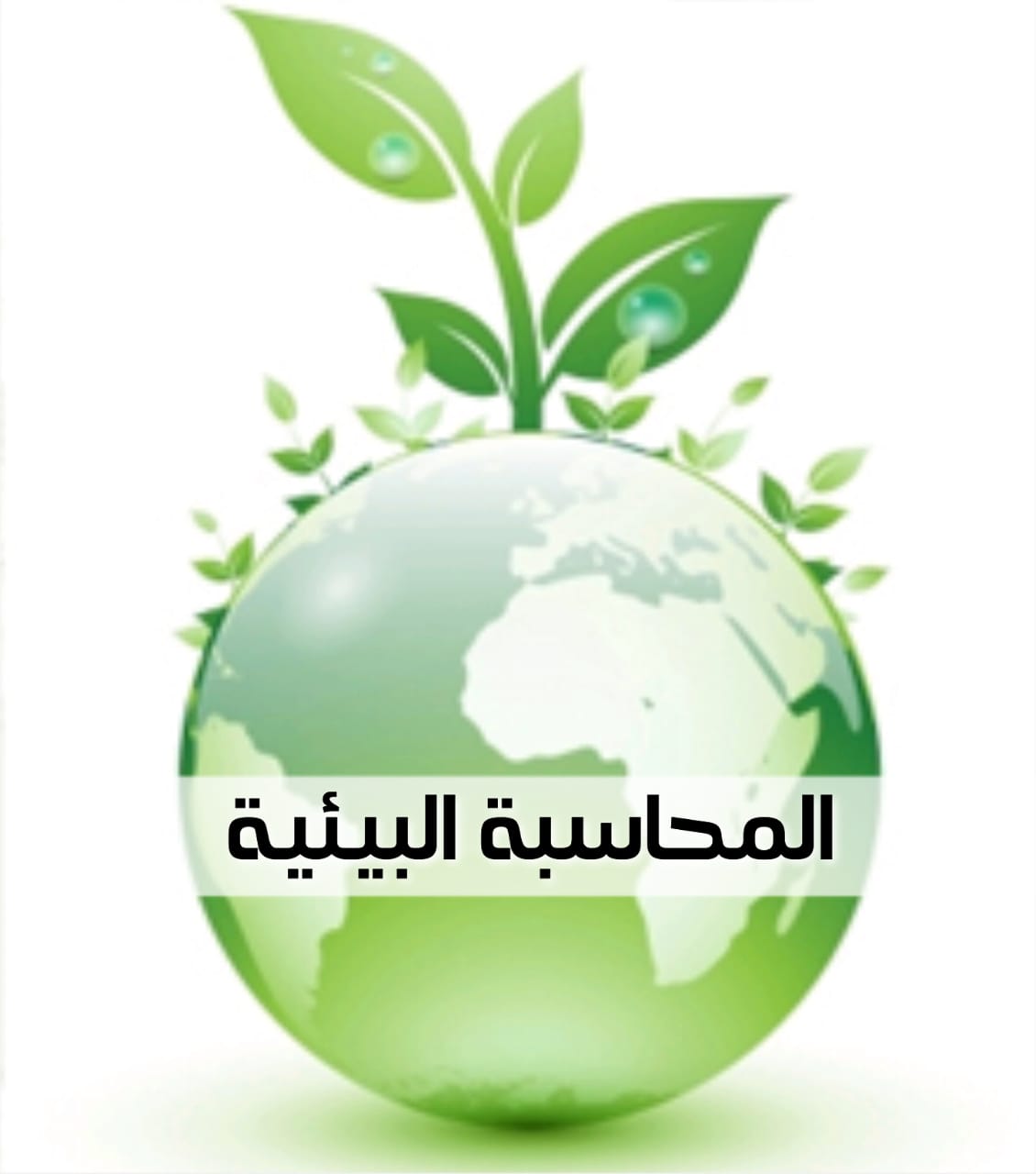 Corporate environmental accounting